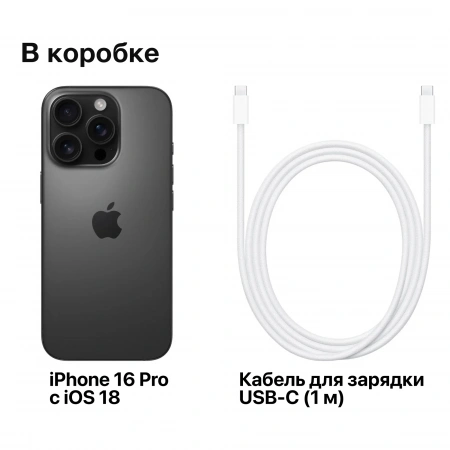 смартфон apple iphone 16 pro max 256 гб, black titanium (nano-sim + nano-sim)